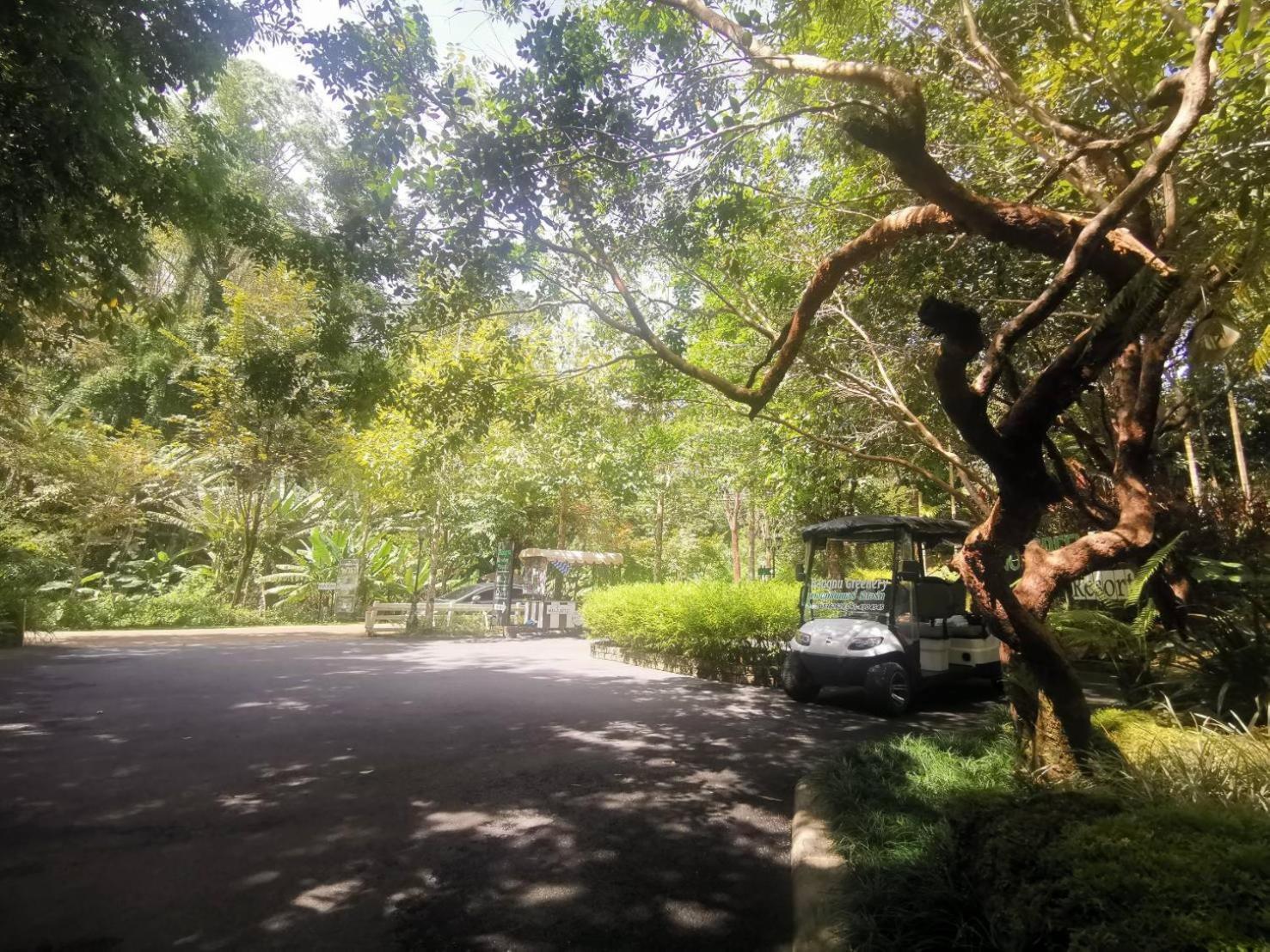 Bangnu Greenery Resort Takuathung Kültér fotó