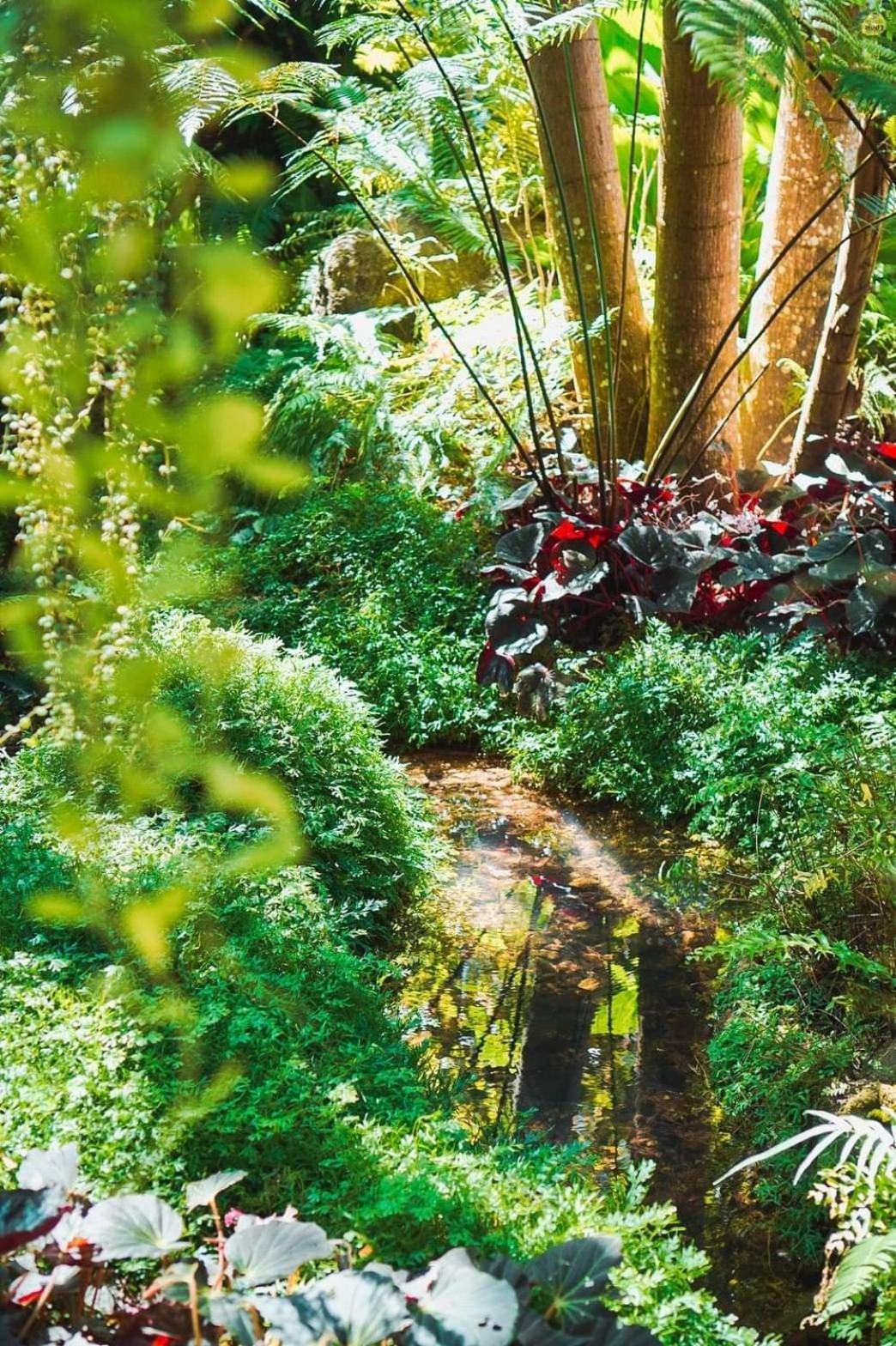 Bangnu Greenery Resort Takuathung Kültér fotó