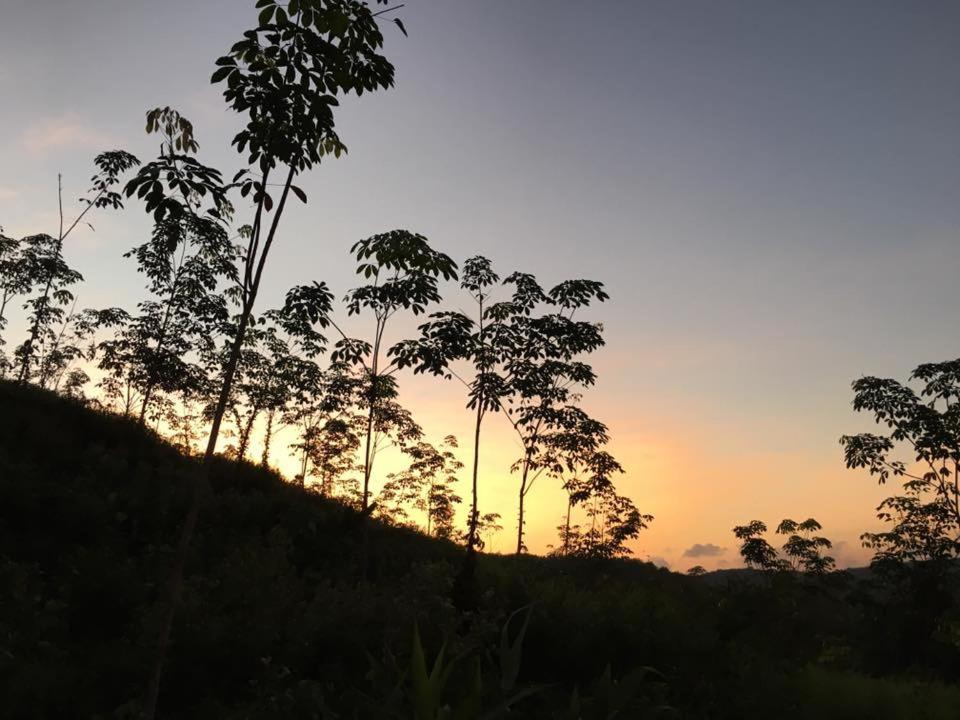 Bangnu Greenery Resort Takuathung Kültér fotó